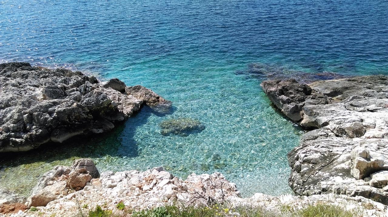 Apartment Vesna Milna (Hvar)