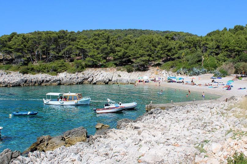 Vesna * Milna (Hvar)